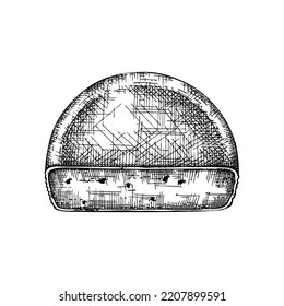 Cheese hand-drawn illustration. Food design element. Vector cheese piece sketch in engraved style. Dairy product drawing for restaurant menus, stores, farms, banners, and packaging design. 