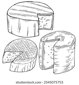 Cheese head set. Ink sketch isolated Cheddar on white background. Hand drawn vector illustration. Vintage style stroke drawing. Vector illustration