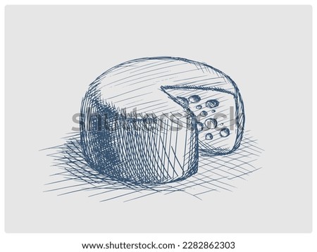 cheese head sketch obsolete blue style vector illustration. Old hand drawn azure engraving imitation.