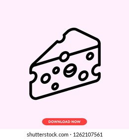 Cheese icon modern vector style
