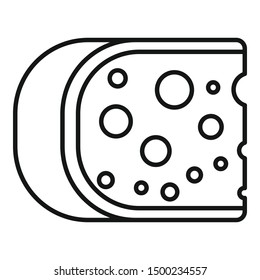 Cheese icon. Outline cheese vector icon for web design isolated on white background