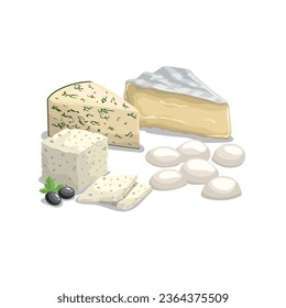 Cheese illustrations. Various type of cheese. Brie, Gorgonzolla, Roquefort, Feta and Mozzarell cheese. Best for food market designs.