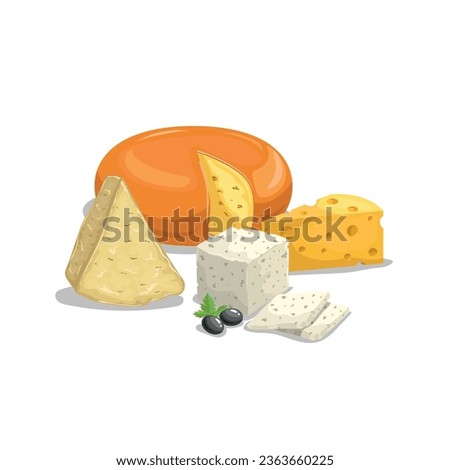 Cheese illustrations. Various type of cheese. Parmesan, Edam, Maasdam, Feta cheese. Best for food market designs.