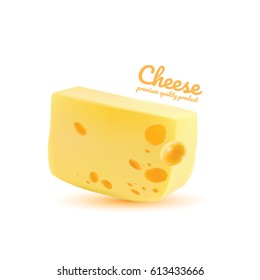 Cheese isolated, Hand drawn cheese vector illustration on white background.