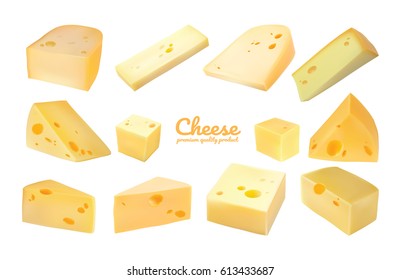 Cheese isolated. Cheese set. Modern style realistic vector illustration.
