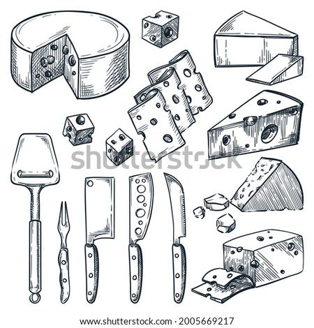 Cheese knives set and assortment of cheeses isolated on white background. Vector hand drawn sketch food illustration. Delicious gourmet farm product. Snack restaurant menu design elements