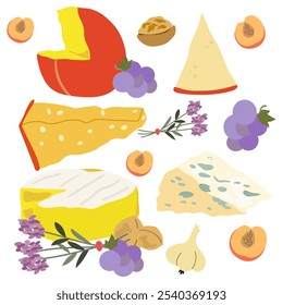 Dia dos Amantes do Queijo. Vários tipos de conjunto de queijo vetorial. Produto de coalhada para design, livro de receitas, publicidade ou queijos ou loja de vinhos. Cartoon Brie queijo, dorblu, cheddar, parmesão, camembert, vinho