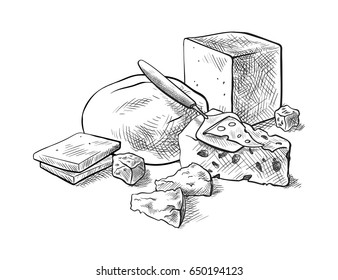 cheese making various types of cheese set of vector sketches on a white background