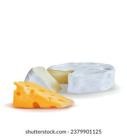 Cheese mesh. Fresh, nutritious, tasty solid cheeses. Vector illustration. Cheese brie in mesh technique.