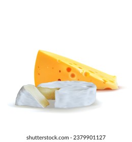 Cheese mesh. Fresh, nutritious, tasty solid cheeses. Vector illustration. Cheese brie in mesh technique.