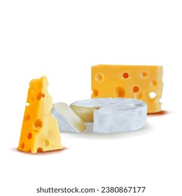 Cheese mesh. Fresh, nutritious, tasty solid cheeses. Vector illustration. Cheese brie in mesh technique.