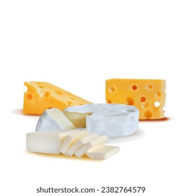 Cheese mesh. Fresh, nutritious, tasty solid cheeses. Vector illustration. Cheese brie in mesh technique.