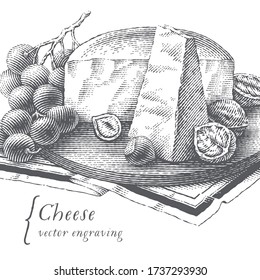 Cheese, nuts and grapes set. Hand drawn engraving style illustrations. Vector illustration.
