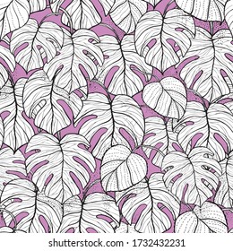 Cheese plant exotic tropical monstera house plant leaves. Vector repeat pattern. Great for apparel, home decor, backgrounds, wallpaper.