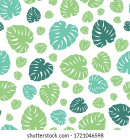 Planta de queso, impresión de hojas de monstera. Patrón vector tropical, fondo.