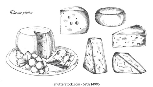 Cheese Platter, Vector Illustration