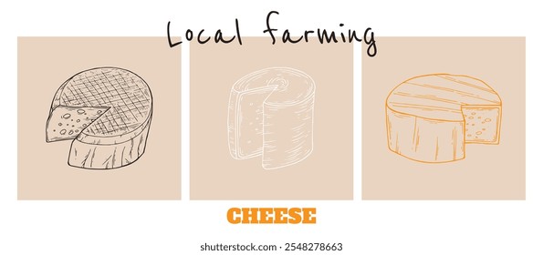 Cheese posters set. Design for packaging dairy products. Craft branding for natural cheeses. Camembert, Parmesan and Cheddar hand-drawn in sketch retro style. Vector illustration.