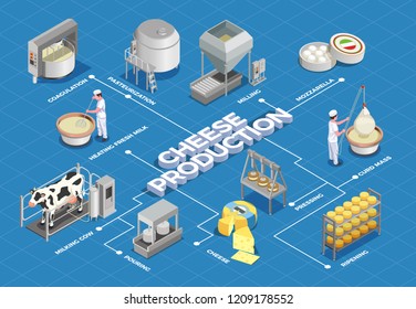 Cheese production isometric flowchart illustrated process from milk yield and pasteurization to fermenting pressing and ripening vector illustration