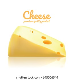 Cheese realistic isolated, Cheese Vector illustration