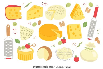 Cheese set dairy product and grater flat design vector illustration