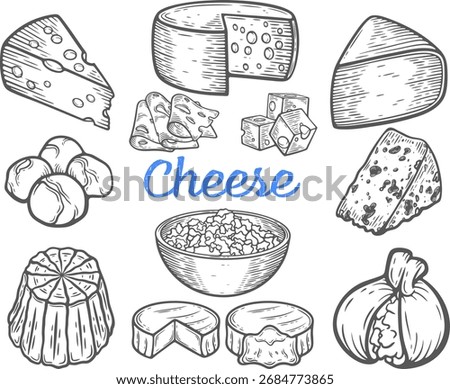 Cheese set engraving, collection of various dairy items, soft and hard type, burrata, ricotta, cottage, edam, roquefort, blue, gouda, mozzarella, brie, camembert, cheddar, parmesan isolated