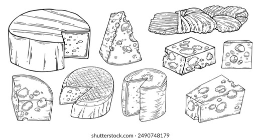 Cheese set. Ink sketch isolated on white background. Hand drawn vector illustration. Vintage style stroke drawing. Vector illustration