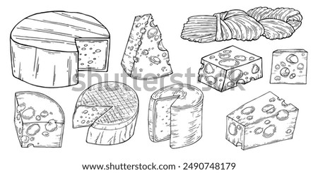 Cheese set. Ink sketch isolated on white background. Hand drawn vector illustration. Vintage style stroke drawing. Vector illustration