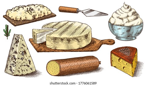 Cheese set. Slices of Mascarpone Bleu de Gex Edam Camembert Mozzarella for market or grocery store. Cheeseboard and Fresh organic milk. Vector Engraved hand drawn sketch for label, poster or menu.