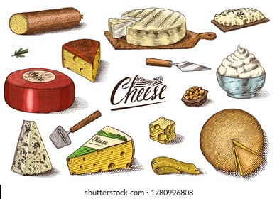 Cheese set. Slices of Mascarpone Bleu de Gex Edam Camembert Mozzarella for market or grocery store. Cheeseboard and Fresh organic milk. Vector Engraved hand drawn sketch for label, poster or menu.