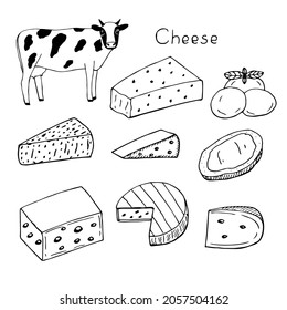 Cheese set vector illustration, cow, hand drawing doodles