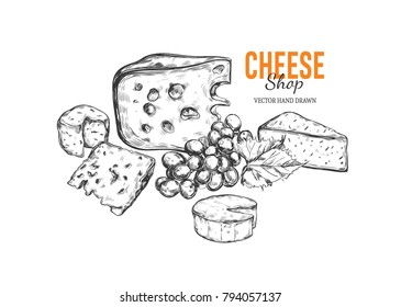 Cheese shop concept . Vector hand drawn