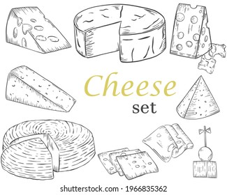 Cheese sketch. Different types of cheese. Dairy product in chunks, slices and whole heads. Vector. Gourmet food. Hand drawing.