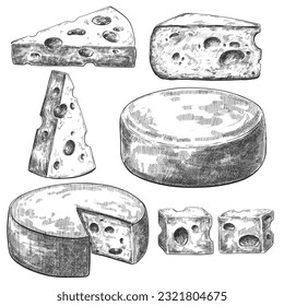 Cheese sketch food vintage illustration.