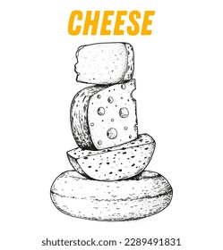 Cheese sketch, hand drawn illustration. Food design template. Vector illustration with collection of cheese. Engraved style image. Dairy farm products cheese.