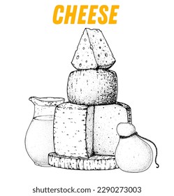 Cheese sketch, hand drawn illustration. Food design template. Vector illustration with collection of cheese. Engraved style image. Dairy farm products cheese.