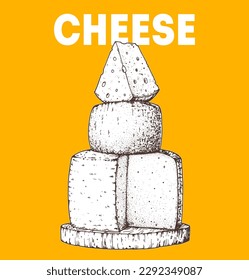 Cheese sketch, hand drawn illustration. Food design template. Vector illustration with collection of cheese. Engraved style image. Dairy farm products cheese.