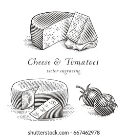 Cheese and tomatoes set. Hand drawn engraving style illustrations. Vector illustration.