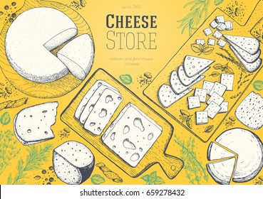Cheese top view frame. Vector illustration with a collection of cheese. Engraved style image. Dairy farm products.