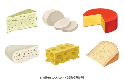 Cheese Types with Blue Cheese and Swiss Cheese Slabs Vector Set