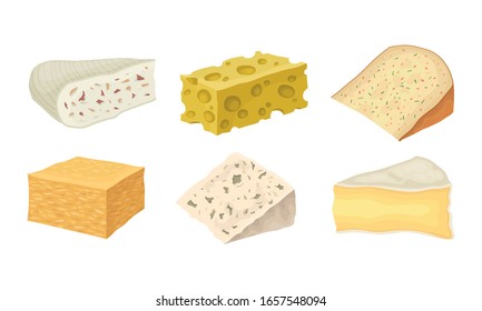 Cheese Types with Blue Cheese and Swiss Cheese Slabs Vector Set