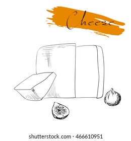 Cheese types. Delicious fresh cheese variet cheese making various types of cheese of vector cheese Vector organic food illustration. on a white background
