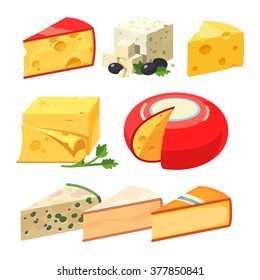 Cheese types. Modern flat style realistic vector illustration icons isolated on white background.