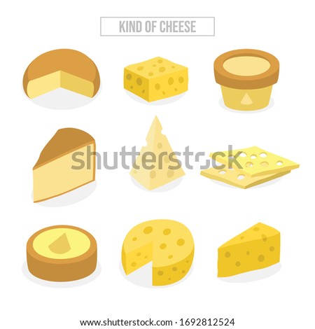 Cheese types. Modern flat style realistic vector illustration icons isolated