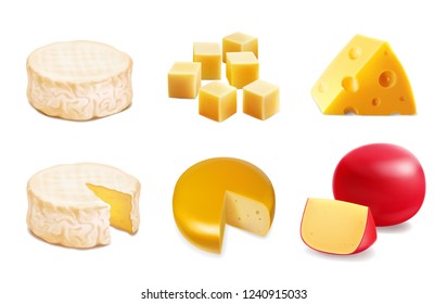 Cheese types. Realistic vector illustration icons of various kind of cheese