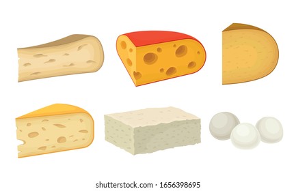Cheese Types with Soft Cheese and Swiss Cheese Slabs Vector Set