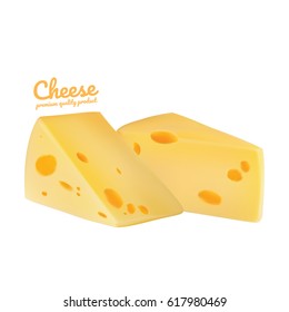 Cheese types vector. Modern style realistic vector illustration.
