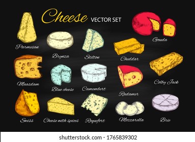 Cheese vector collection. Hand drawn  illustration of cheese types : Brie, Mozzarella, Stilton, Blue cheese,  Camembert etc.  Colorful, Isolated illustration on blackboard