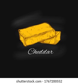 Colección vectorial de queso. Ilustración a mano de tipos de queso: Brie, Mozzarella, Stilton, Blue, Camembert, etc. Ilustración colorida y aislada en la pizarra