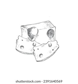 Cheese vector illustration. Hand drawn ink cheddar cheese sketch for label, logo, packing design.Template for card, poster, banner, print for t-shirt,menu, restaurant .