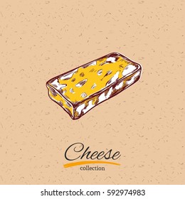 Cheese vector illustration on white background